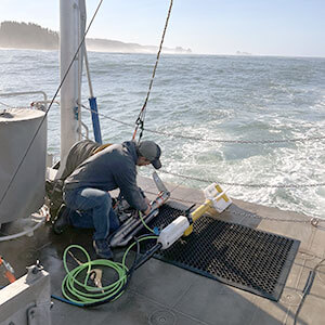 Retrieving a Porpoise From The EM