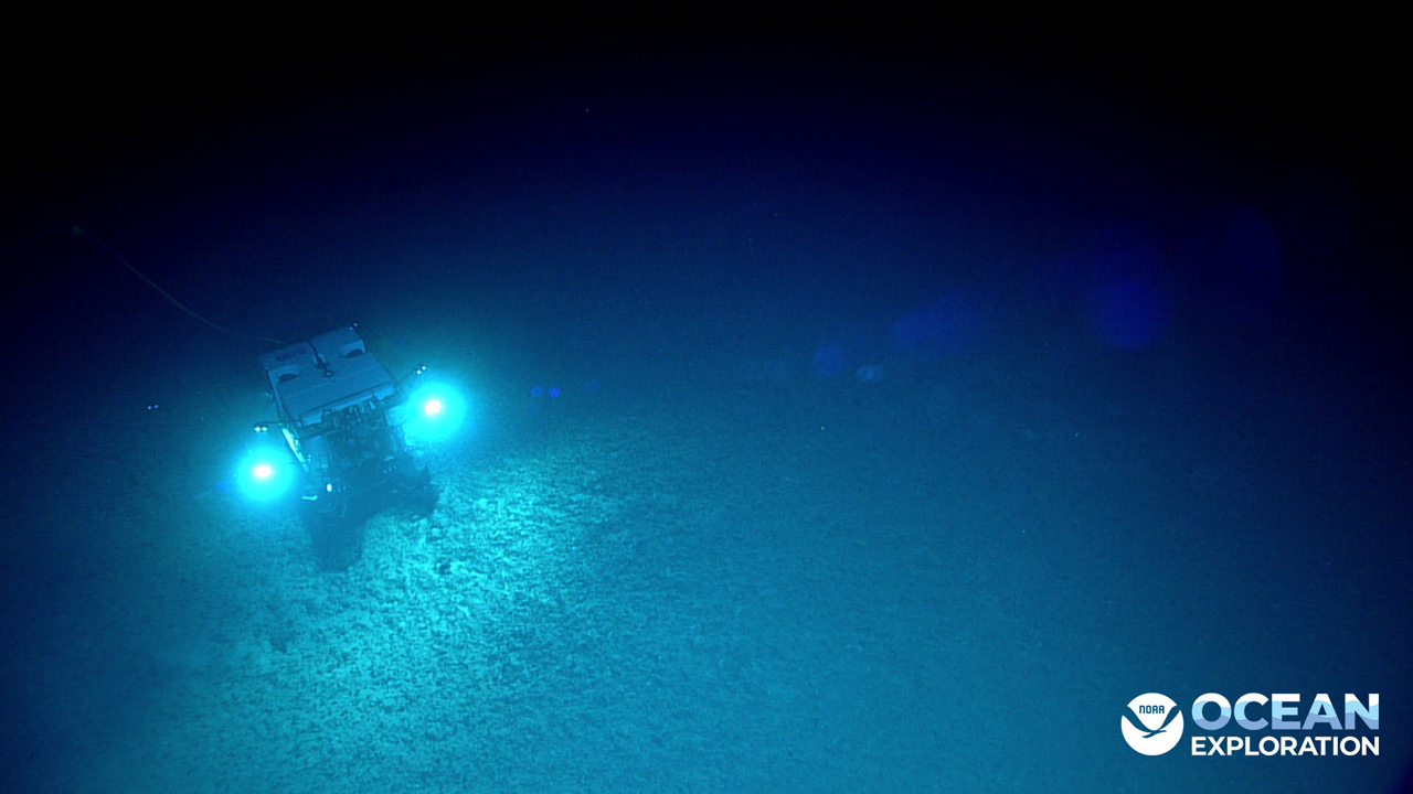 Did you know that the average depth of the ocean is 3,682 meters, or 12,080 feet?