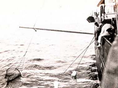 Plankton tow and dip nets on the Albatross were used to collect marine life. (NOAA Photo Library).