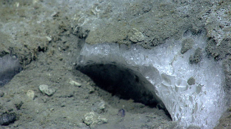 These relatively stable, ice-like substances are created in deep-ocean sediments and conditions of low temperature and high pressure. These relatively stable, ice-like substances are created in deep-ocean sediments and conditions of low temperature and high pressure.
