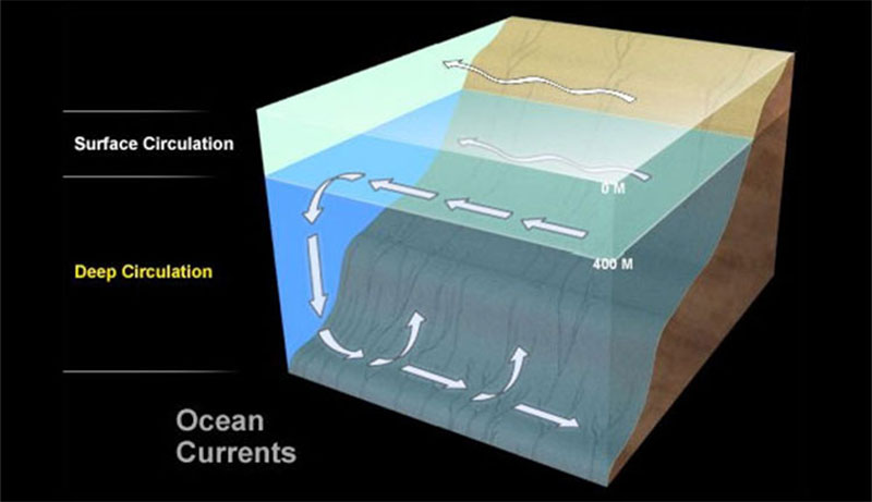 Currents are cohesive streams of seawater that circulate through the ocean. Some are short-lived and small, while others are vast flows that take centuries to complete a circuit of the globe. There are two distinct current systems in the ocean—surface circulation, which stirs a relatively thin upper layer of the sea, and deep circulation, which sweeps along the deep-sea floor. Currents are cohesive streams of seawater that circulate through the ocean. Some are short-lived and small, while others are vast flows that take centuries to complete a circuit of the globe. There are two distinct current systems in the ocean—surface circulation, which stirs a relatively thin upper layer of the sea, and deep circulation, which sweeps along the deep-sea floor.