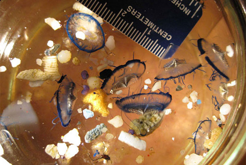Most of the debris in the Most of the debris in the
