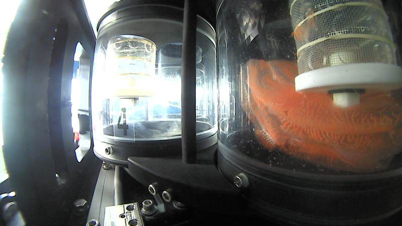 Okeanos Explorer Sampling Okeanos Explorer Sampling