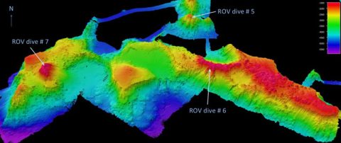 Hydrographic maps, like this one from the 2017 Laulima O Ka Moana expedition, help scientists decide which areas are good candidates for ROV dives.