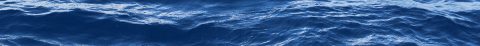 Coordinated Simultaneous Physical-Biological Sampling Using ADCP-Equipped Ocean Gliders