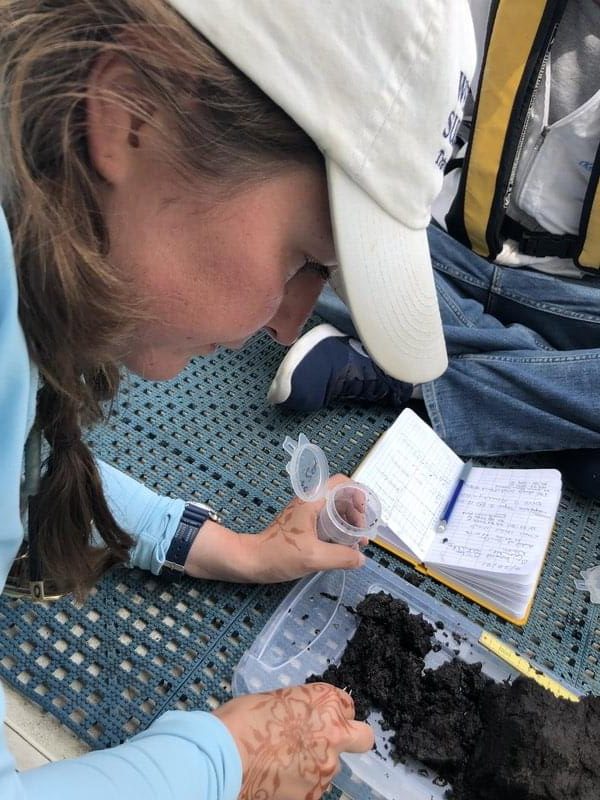 Expedition co-principal investigator Ashley Lemke dissects a portion of the sample.