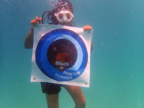 Newly-minted SCUBA divers show their Black in Marine Science pride underwater.