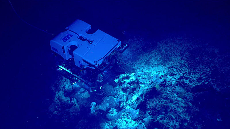 A top-down look at remotely operated vehicle (ROV) Deep Discoverer imaging corals and sponges, as captured by ROV Seirios during the eighth dive of the second Voyage to the Ridge 2022 expedition.