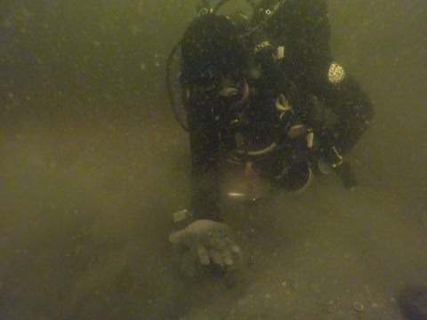 Sediment composition can be estimated underwater. A few of the attributes we are documenting are the size of the individual grains, the consistency of the sediment, and the presence or absence of marine and/or freshwater mollusks.