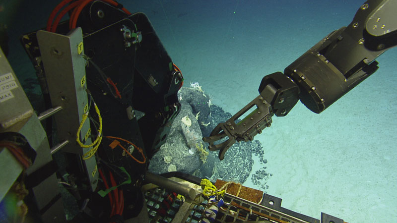 The Ocean Exploration Trust's remotely operated vehicle Hercules collects an eDNA sample over a coral garden in the Howland Baker Unit of the Pacific Remote Islands Marine National Monument, now known as Pacific Islands Heritage Marine National Monument.