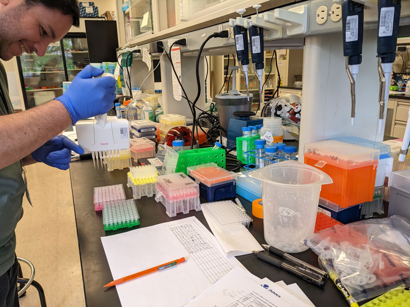 Steve Auscavitch at the bench transferring freshly extracted deep-sea coral DNA from species collected in Pacific Remote Islands Marine National Monument, now known as Pacific Islands Heritage Marine National Monument during genome skimming library preparation in February 2023.