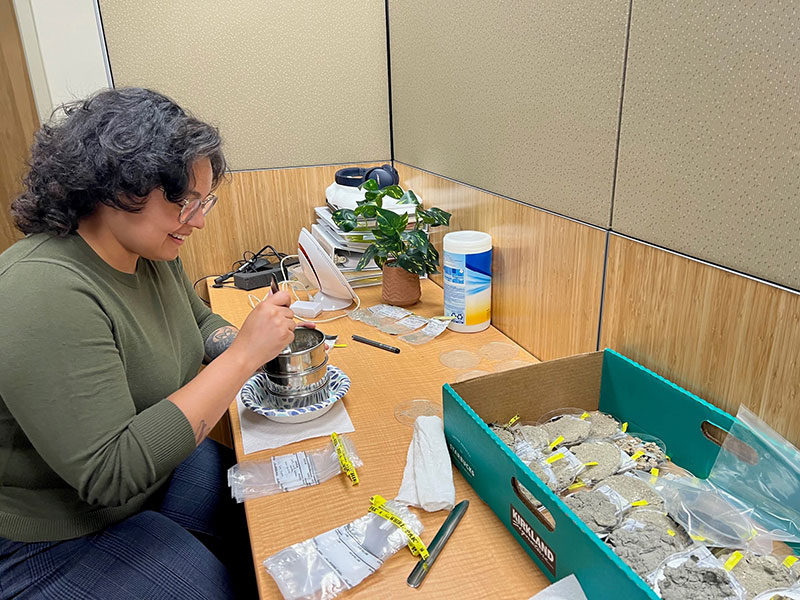 Sealaska Heritage Institute museum intern, Jordan Martinez, helping screen sediments brought back for microdebitage analysis from 2023 field work conducted as part of the Our Submerged Past project. Sealaska Heritage Institute museum intern, Jordan Martinez, helping screen sediments brought back for microdebitage analysis from 2023 field work conducted as part of the Our Submerged Past project.