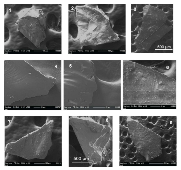 Microdebitage images from a scanning electron microscope (SEM). Image number 3 is experimental debitage; 4 shows feathered edges and unidirectional striations; and, 5 shows thinned edges and unidirectional conchoidal fractures. Flakes from the Great Lake basin. Microdebitage images from a scanning electron microscope (SEM). Image number 3 is experimental debitage; 4 shows feathered edges and unidirectional striations; and, 5 shows thinned edges and unidirectional conchoidal fractures. Flakes from the Great Lake basin.