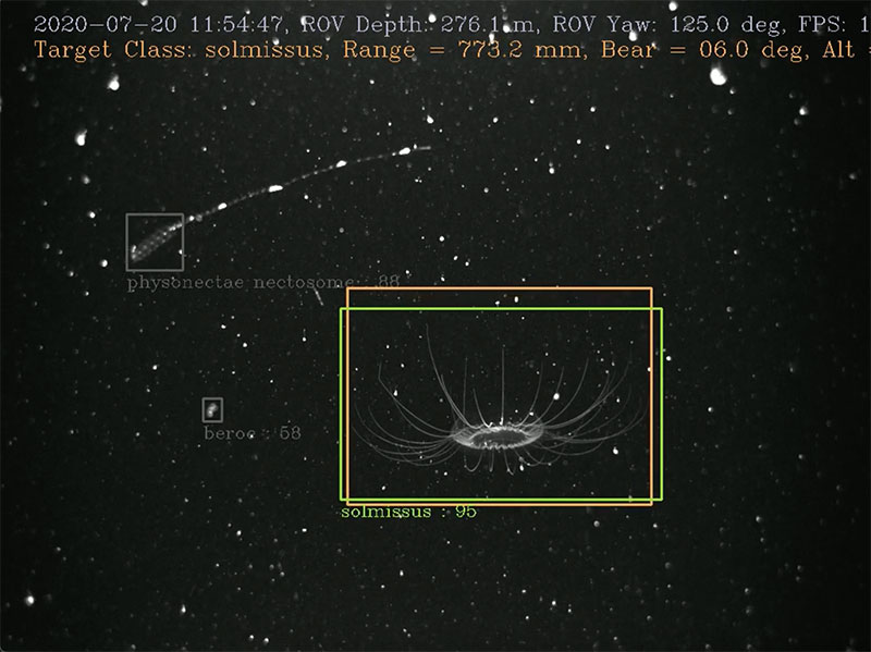 Demonstration of an artificial intelligence-assisted underwater robot during animal tracking trials. Image courtesy of MBARI's Bioinspiration Lab.
