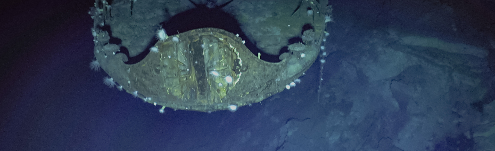 Photogrammetry Project