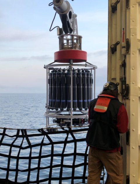 The CTD instrument is lowered into the water to measure the water column profiles.