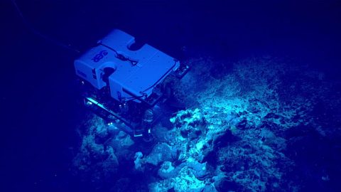 During the 2023 Shakedown + EXPRESS West Coast Exploration, we will use our two-bodied remotely operated vehicle (ROV) system, which includes ROVs Deep Discoverer (pictured here) and Seirios.