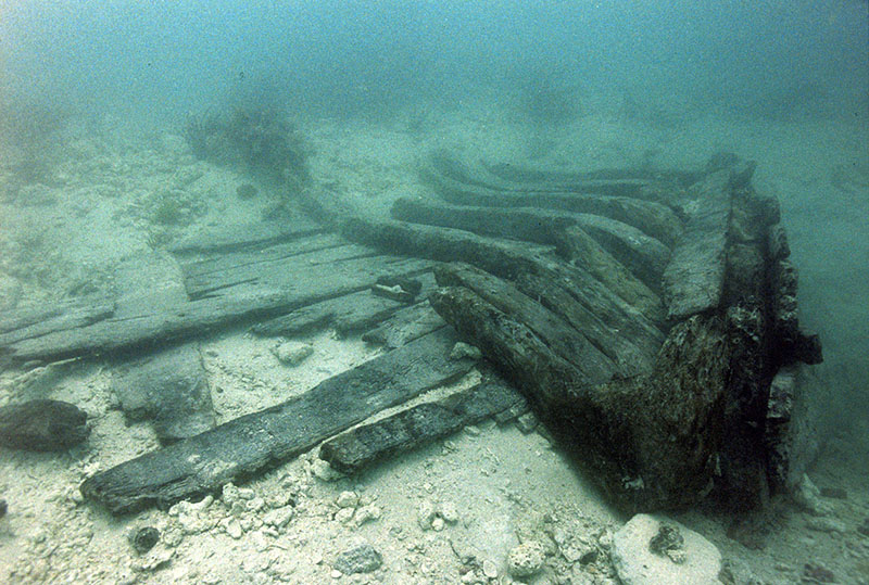 Well-preserved hull remains from the slave ship Henrietta Marie, wrecked in 1700 at nearby New Ground Reef, exemplifying the potential for organic preservation. Well-preserved hull remains from the slave ship Henrietta Marie, wrecked in 1700 at nearby New Ground Reef, exemplifying the potential for organic preservation.
