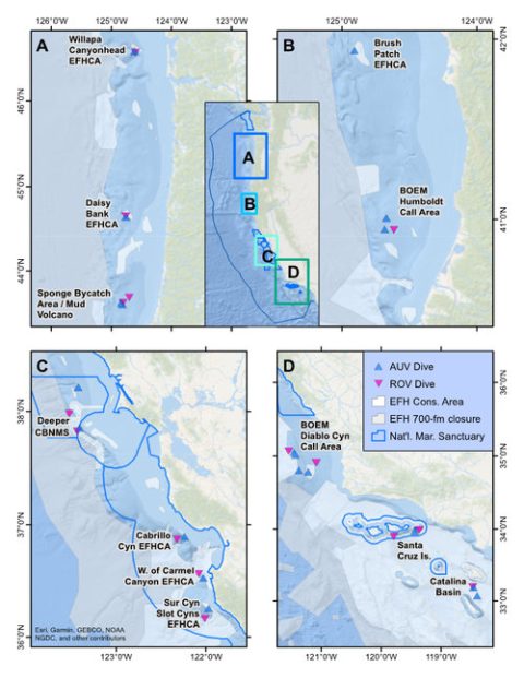 Locations of the 15 sites successfully surveyed during the Surveying Deep-sea Corals, Sponges, and Fish Habitat expedition.