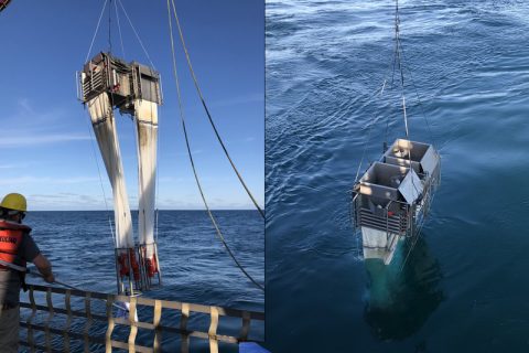 The multinet is an arrangement of nets that can be opened and closed at particular water depths so that only the zooplankton of a specific depth is caught in each of the nets.