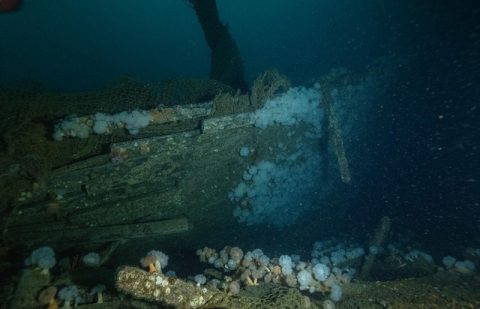 Approaching the starboard side of the bow of the shipwreck