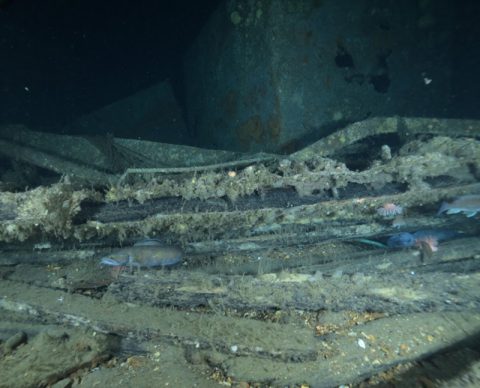 Approaching the starboard side of the bow of the shipwreck
